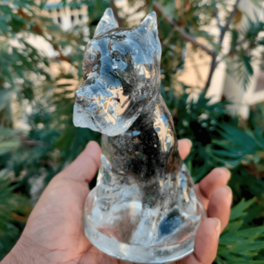 Custom Cane Corso figurine